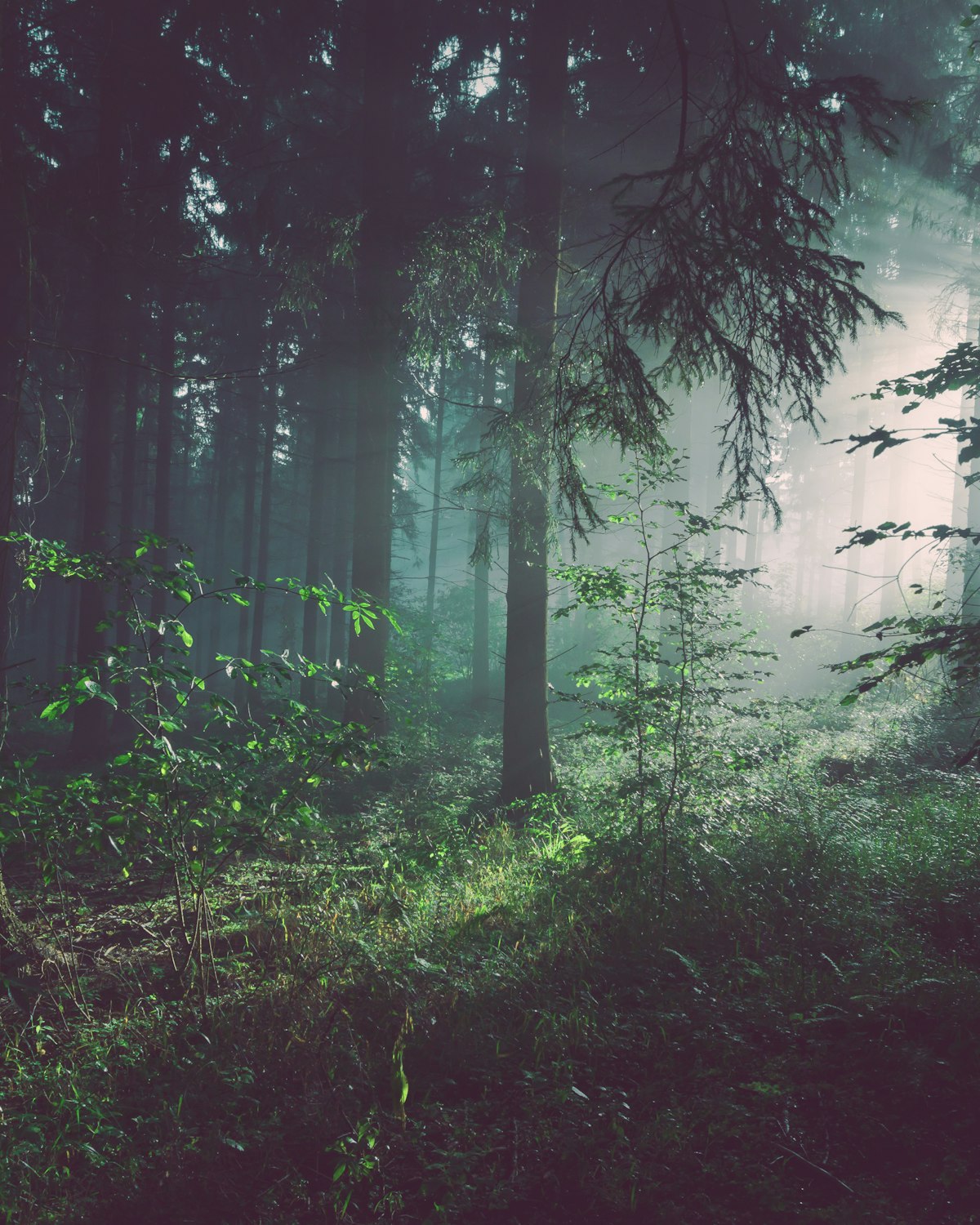 Que vuestra boda deje huella